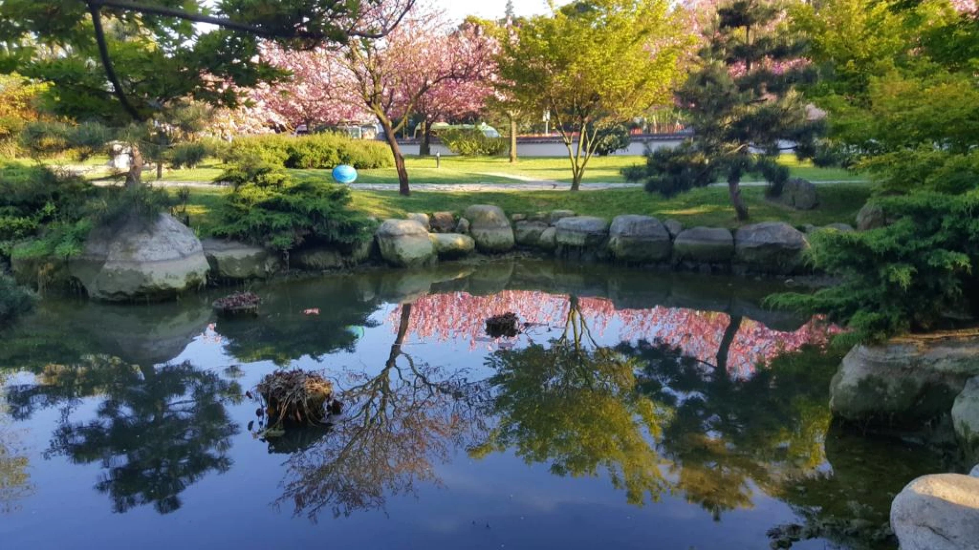 BaltaHarbor Japanese Garden