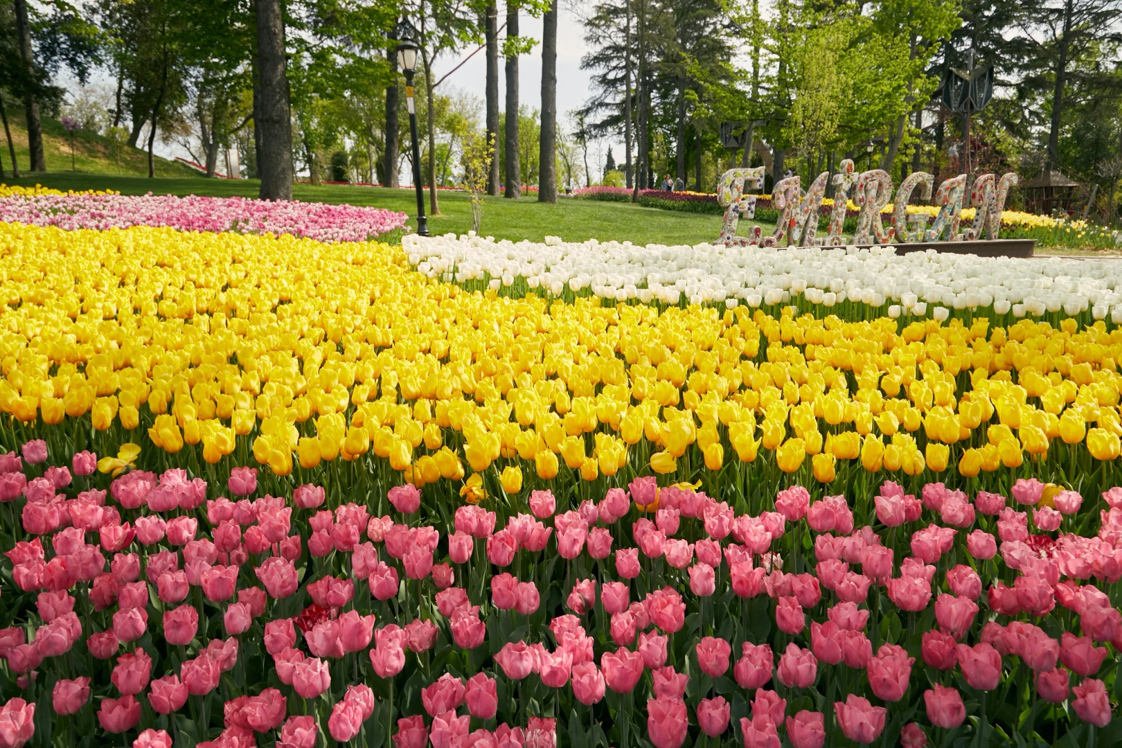 Emirgan Grove