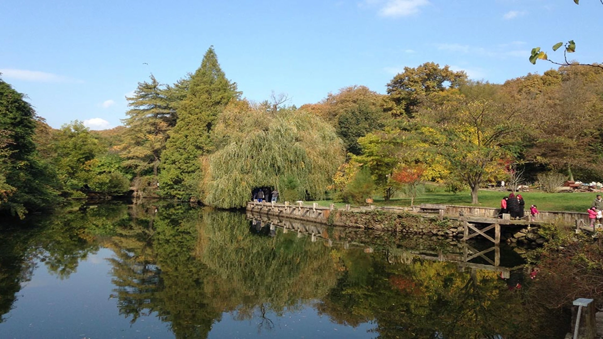 Atatürk Arboretum