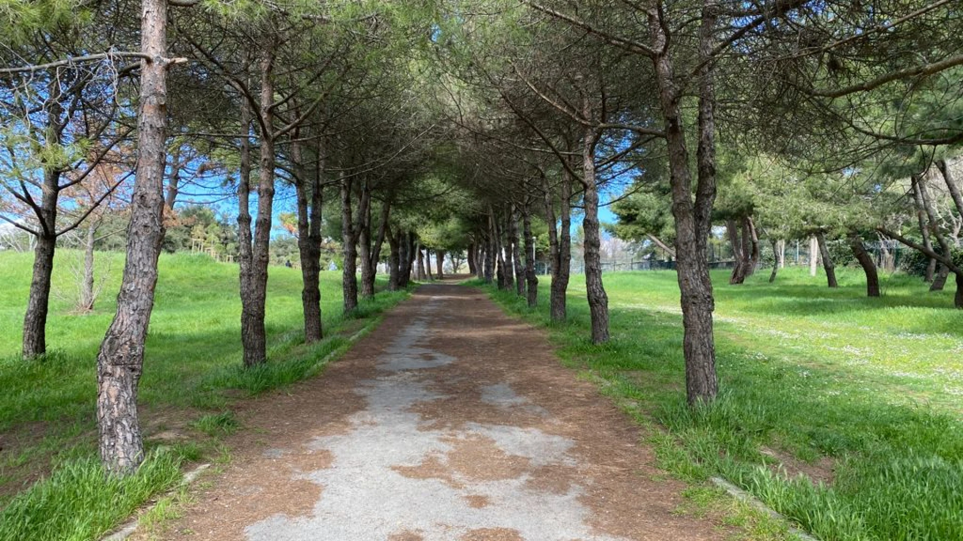Florya Atatürk Forest