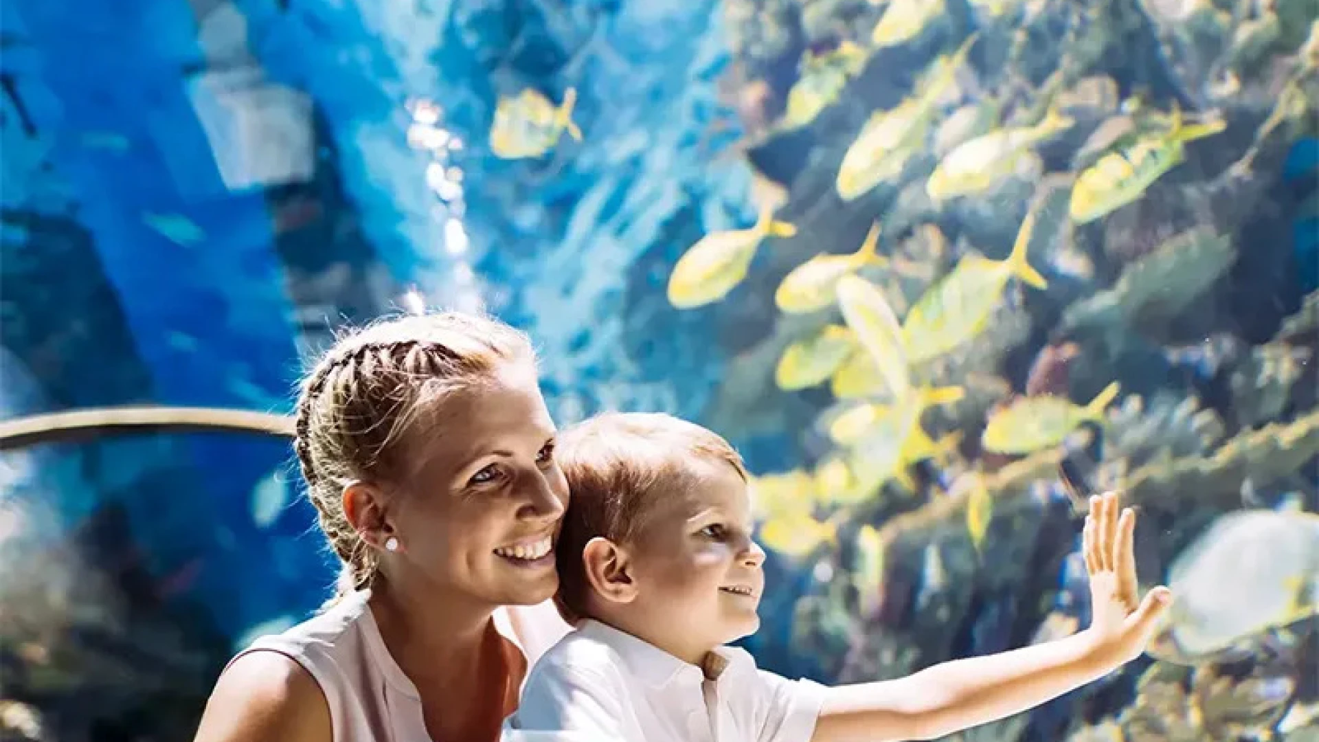 Emaar Aquarium