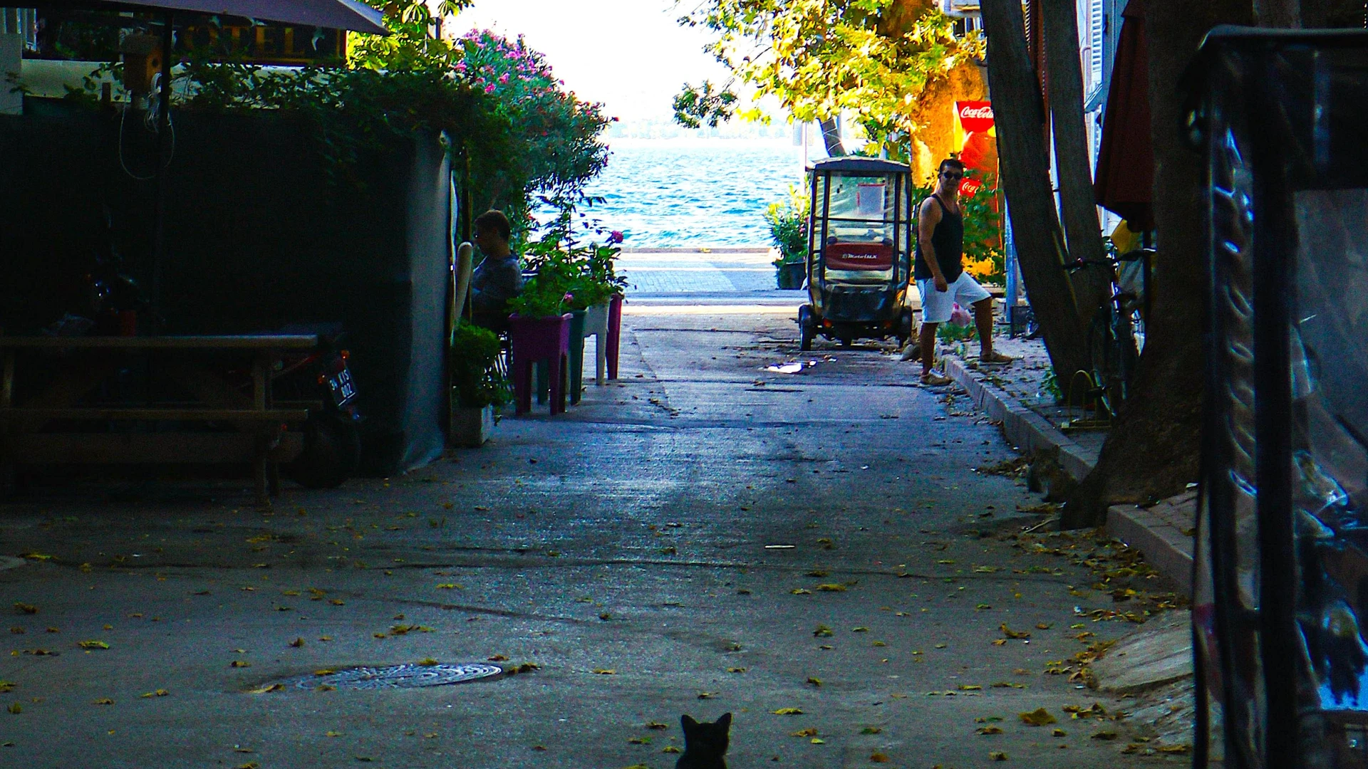 Büyükada Beach